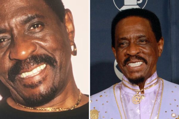 Ike Turner Net Worth