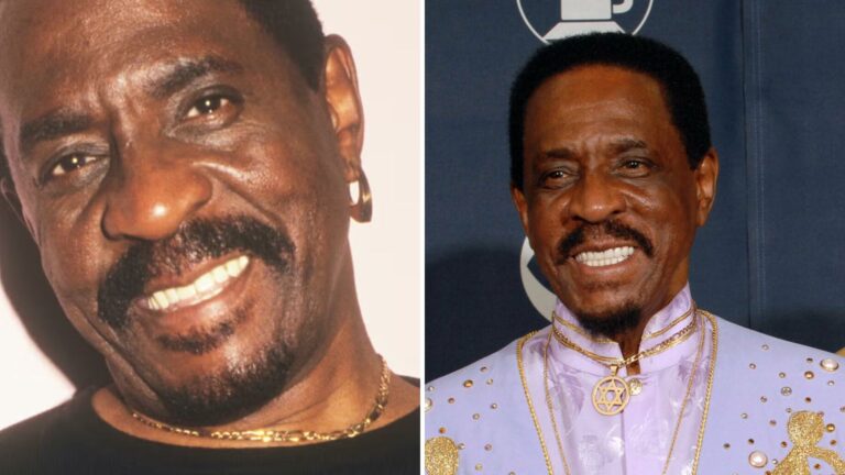 Ike Turner Net Worth: Key Facts About Family Life